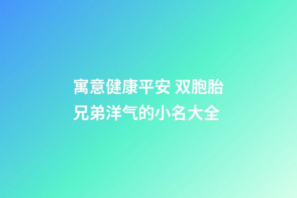 寓意健康平安 双胞胎兄弟洋气的小名大全